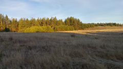 20191219_083026_HDR