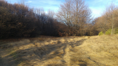 20191219_085939