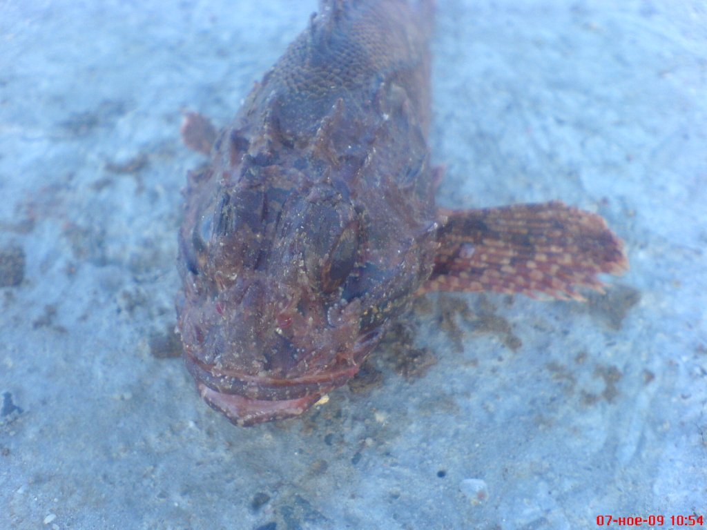 DSC01862