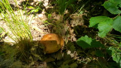 20200708_101606_HDR