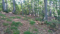 20200710_094829