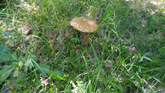 20200710_105039