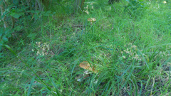20200710_105043