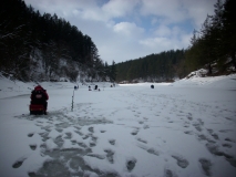 IMG 0435