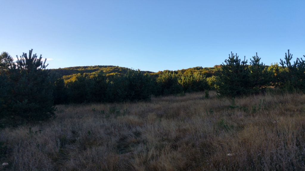 20201014_082749_HDR