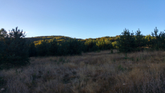 20201014_082749_HDR