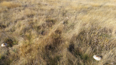 20201014_093636