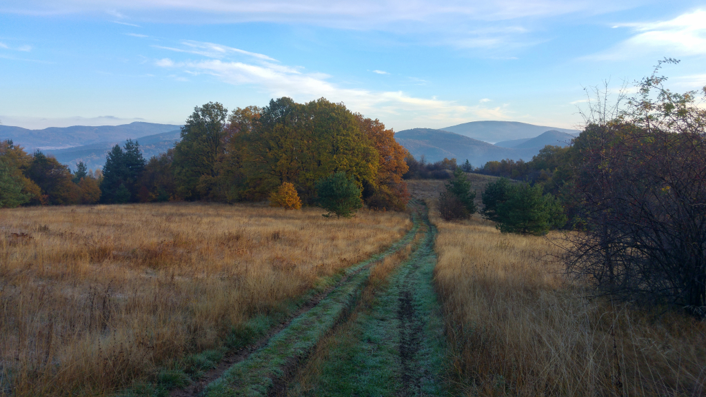 20201106_074301_HDR