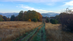 20201106_074301_HDR