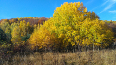 20201106_085805