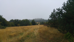 20210909_091842