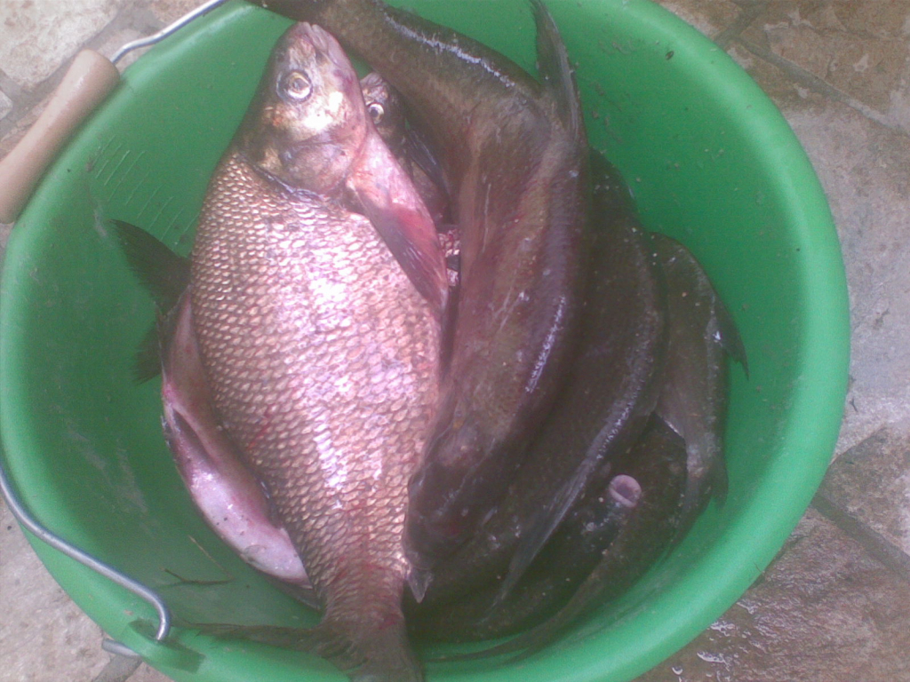 23062010