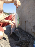 IMG_20220730_155710