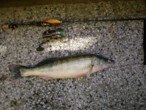 DSCN3621