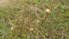 20230510_090713_HDR