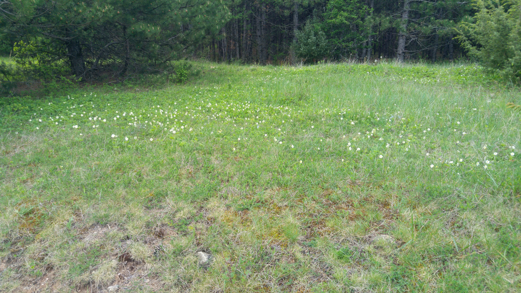 20230513_093402_HDR