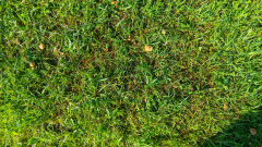 20230602_082808_HDR
