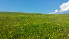20230602_091605_HDR