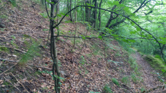 20230614_140755_HDR