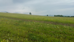 20230616_082853_HDR
