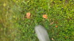 20230616_082102_HDR