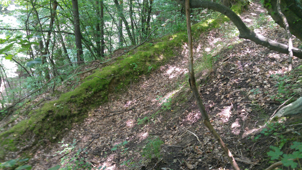 20230620_135459_HDR