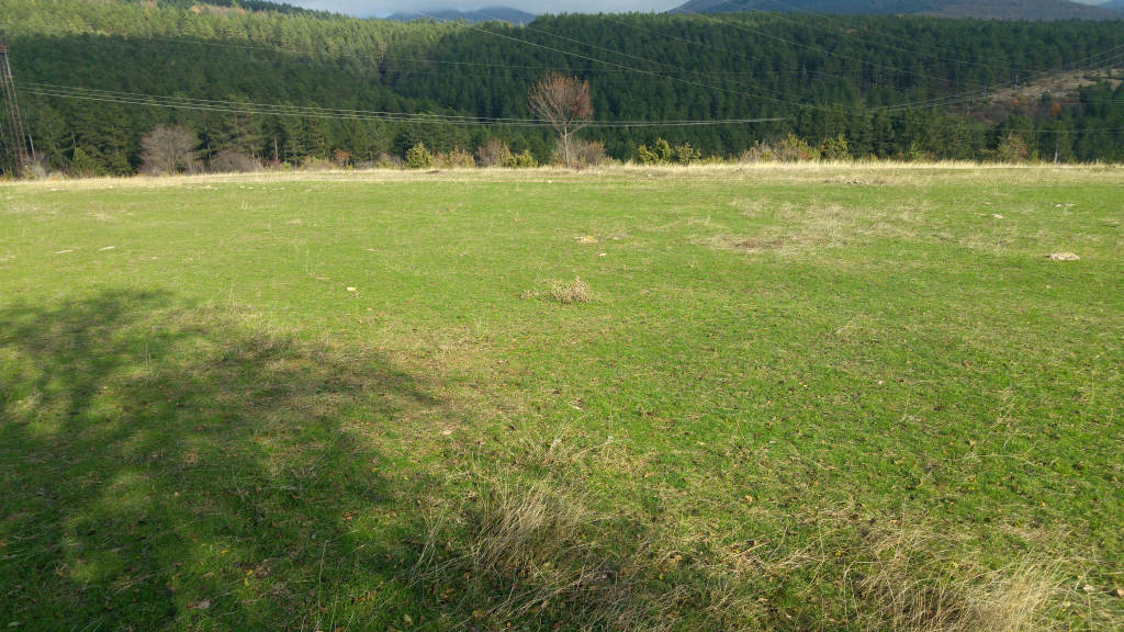 20231204_132619_HDR
