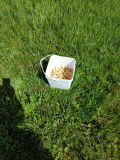 IMG_20240427_112258