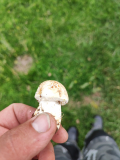 IMG_20240501_165518