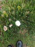 IMG_20240504_151357
