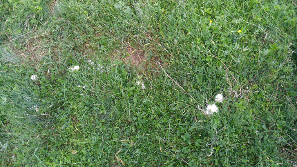 20240510_081149_HDR