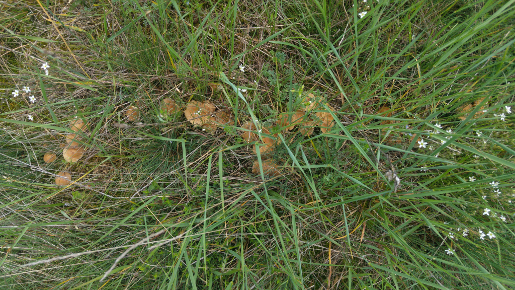 20240520_133547_HDR