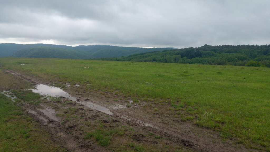 20240520_152551_HDR