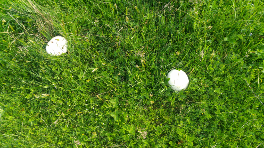 20240521_073624_HDR
