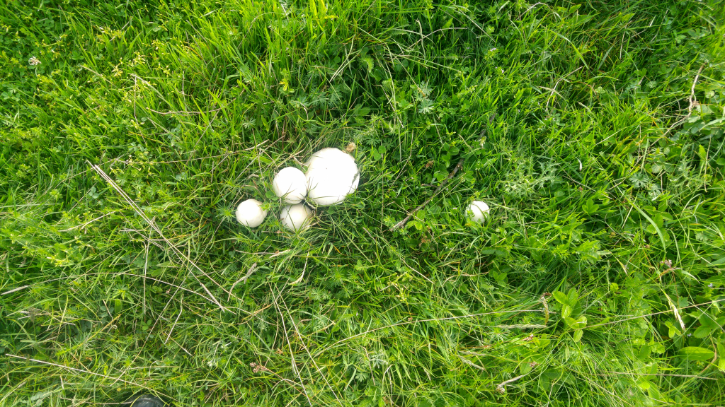 20240521_075834_HDR