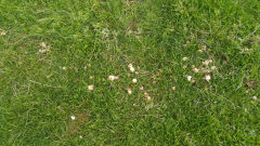 20240521_081847_HDR