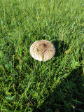 IMG_20240525_085851