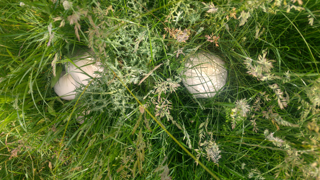 20240528_162440_HDR