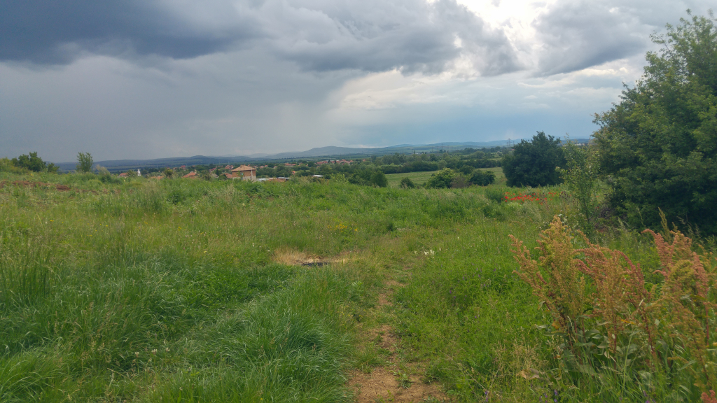 20240528_162928_HDR