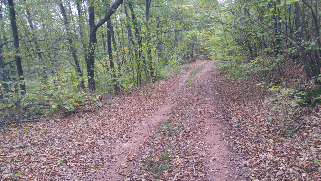 20241011_091612_HDR