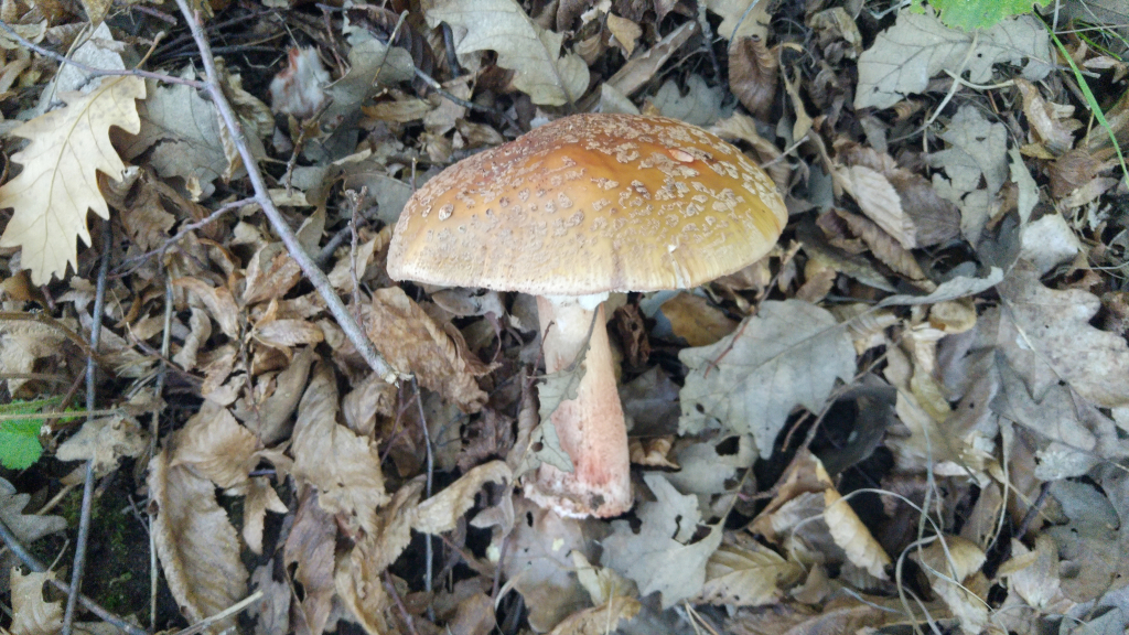 20241015_100047_HDR