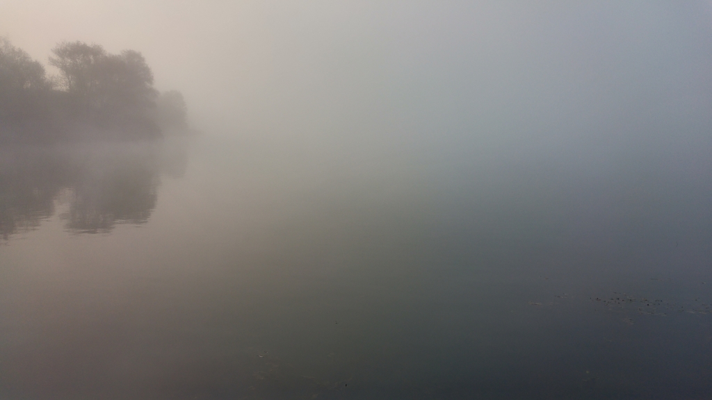 20241014_080019_HDR