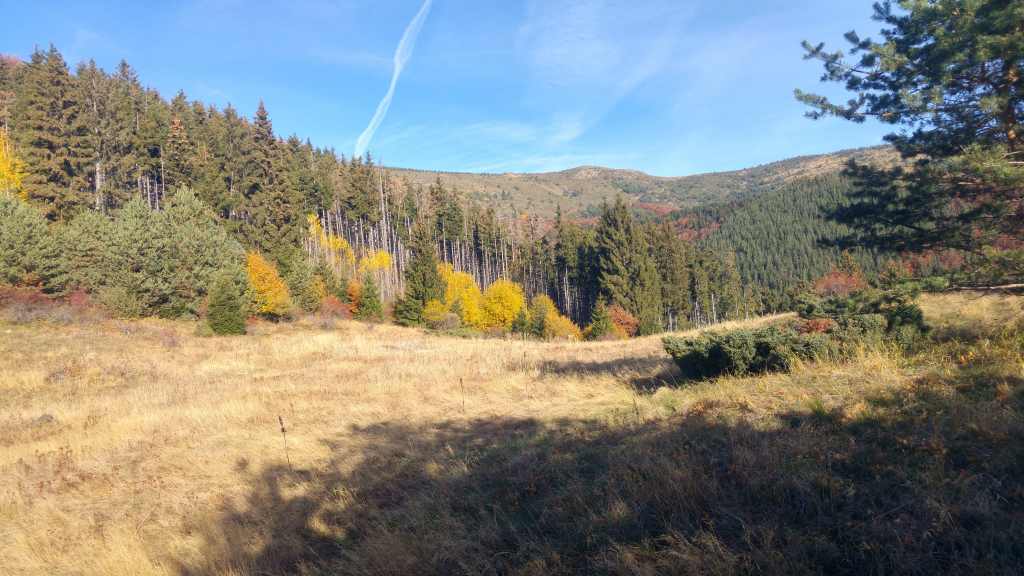 20241029_092442_HDR