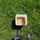 IMG_20250420_151912