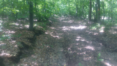 20250624_112012_HDR