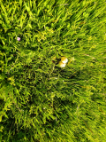 IMG_20260520_085116