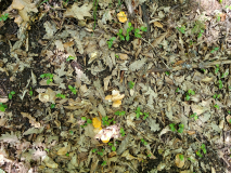 IMG_20260605_123612