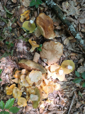 IMG_20260703_141612