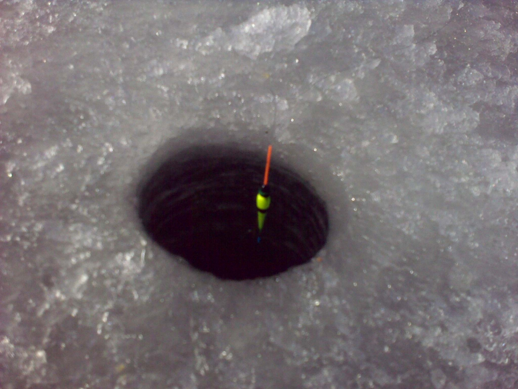 06022011001