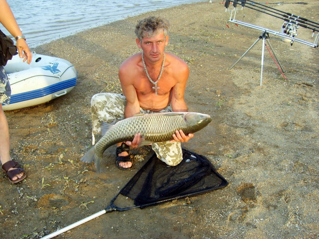 S6000244